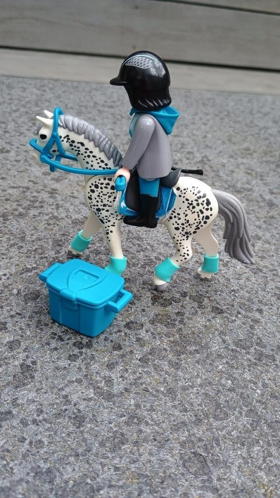 Playmobil paard en amazone, Ophalen of Verzenden, Zo goed als nieuw