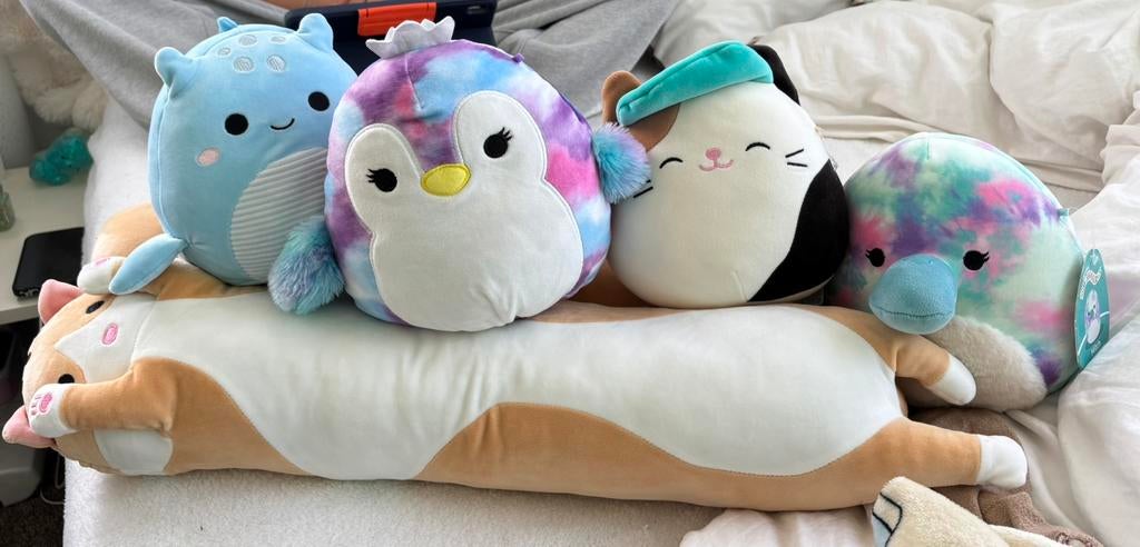 Squishmallows 6x, Ophalen of Verzenden, Zo goed als nieuw, Overige typen