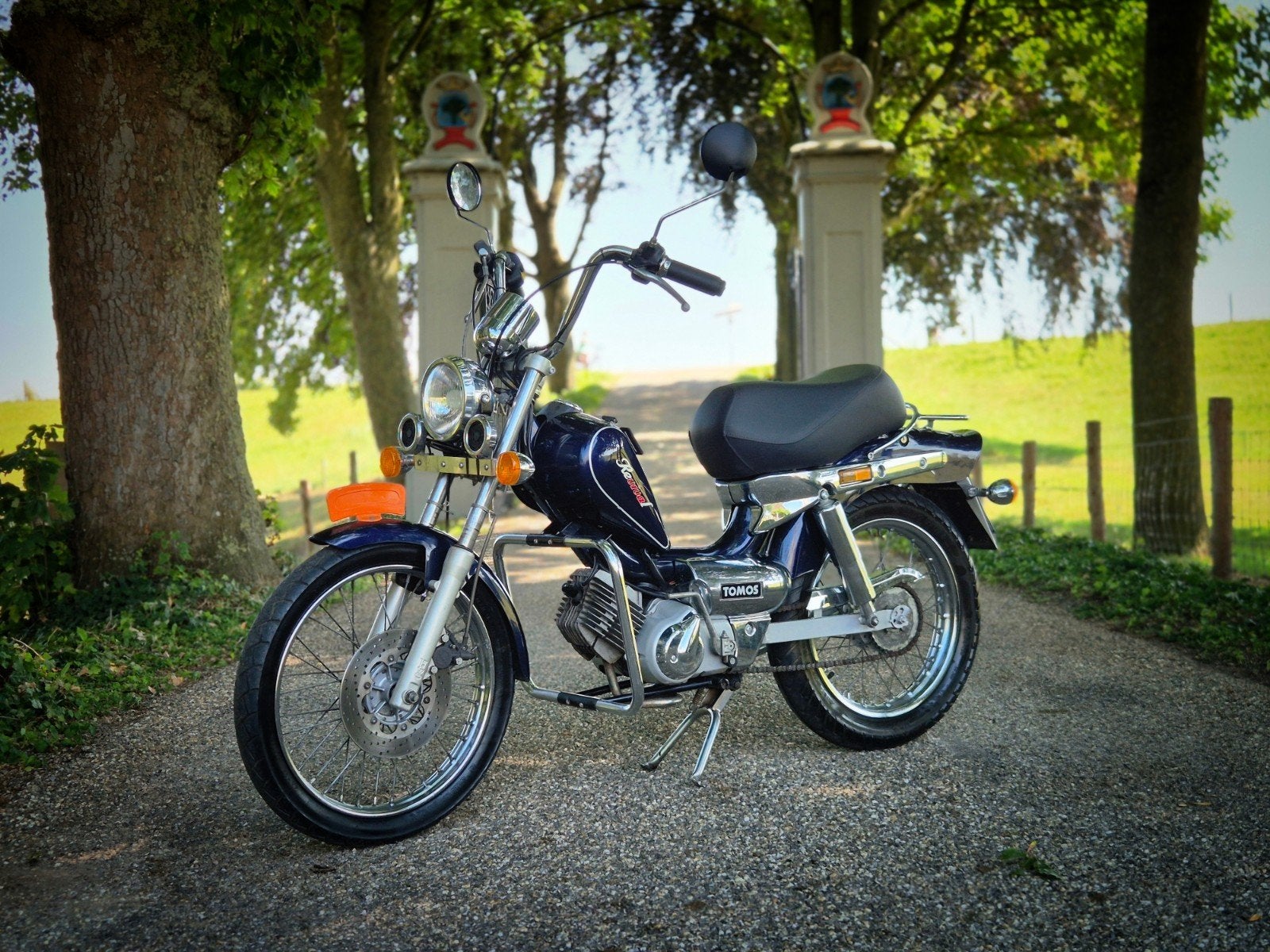 Tomos Revival Z.G.A.N. Blauw Kenteken, Fietsen en Brommers, Ophalen