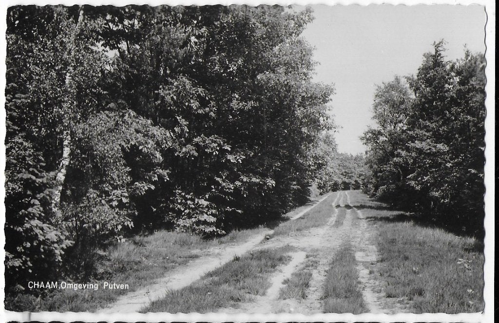 Chaam Omgeving Putven Oude Gelopen Ansichtkaart (B1836 ), Ophalen of Verzenden, 1920 tot 1940, Gelopen
