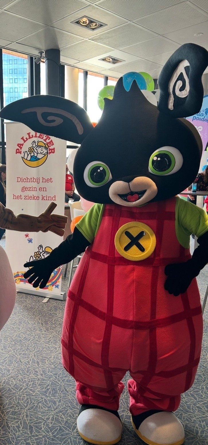 Hoogwaardig Bing Mascotte Kostuum - Perfect voor Evenementen, Ophalen, Gebruikt, Pak of Jurk