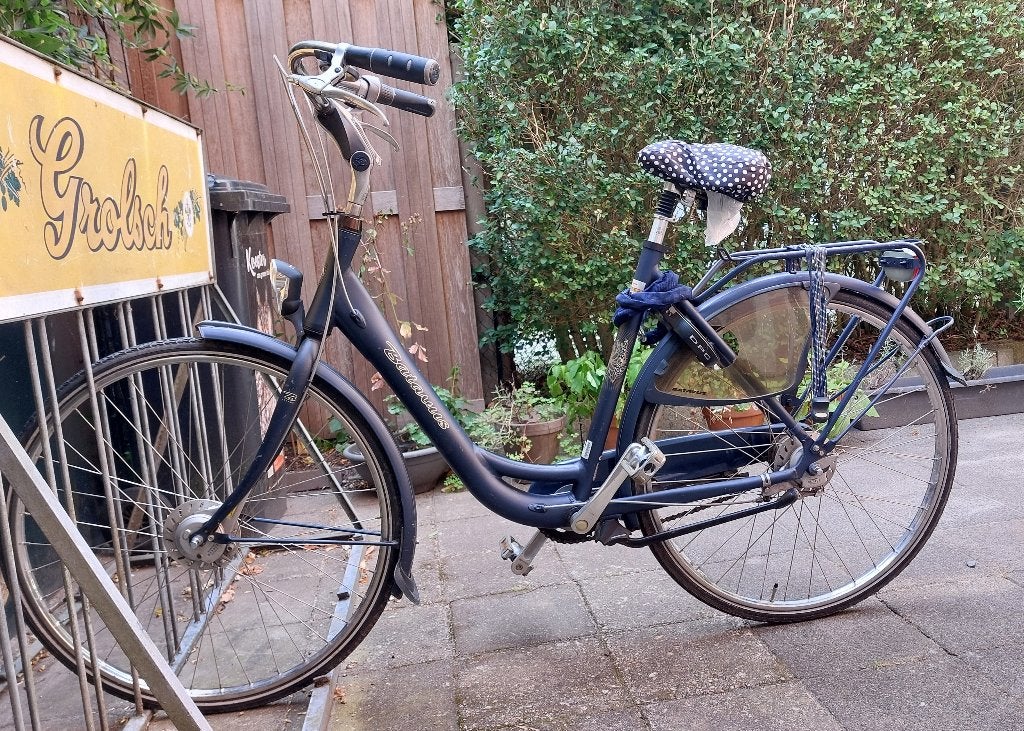 Batavus Vienna - Damesfiets, Fietsen en Brommers, Fietsen | Dames | Damesfietsen, Ophalen, Versnellingen, Batavus, 53 tot 56 cm