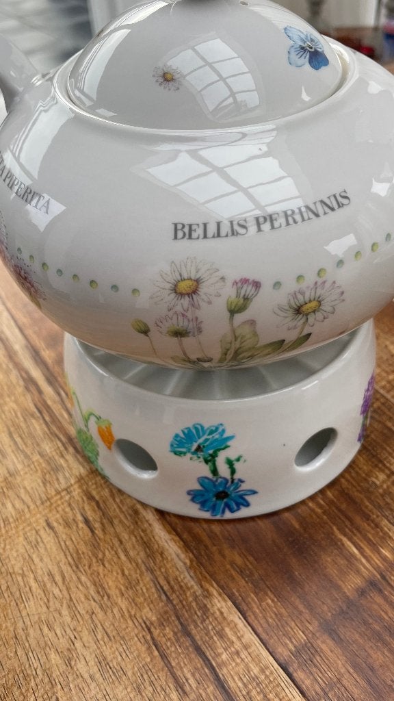 Theepot en bijpassende theelichtwarmhouder, Gebruikt, Ophalen of Verzenden, Theepot, Modern