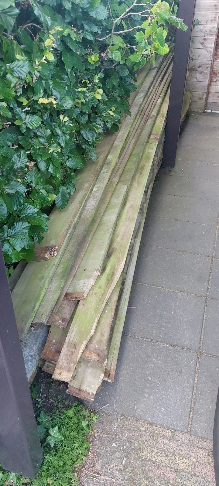 Gebruikte houten planken, Ophalen, Gebruikt, 25 tot 50 mm, Plank
