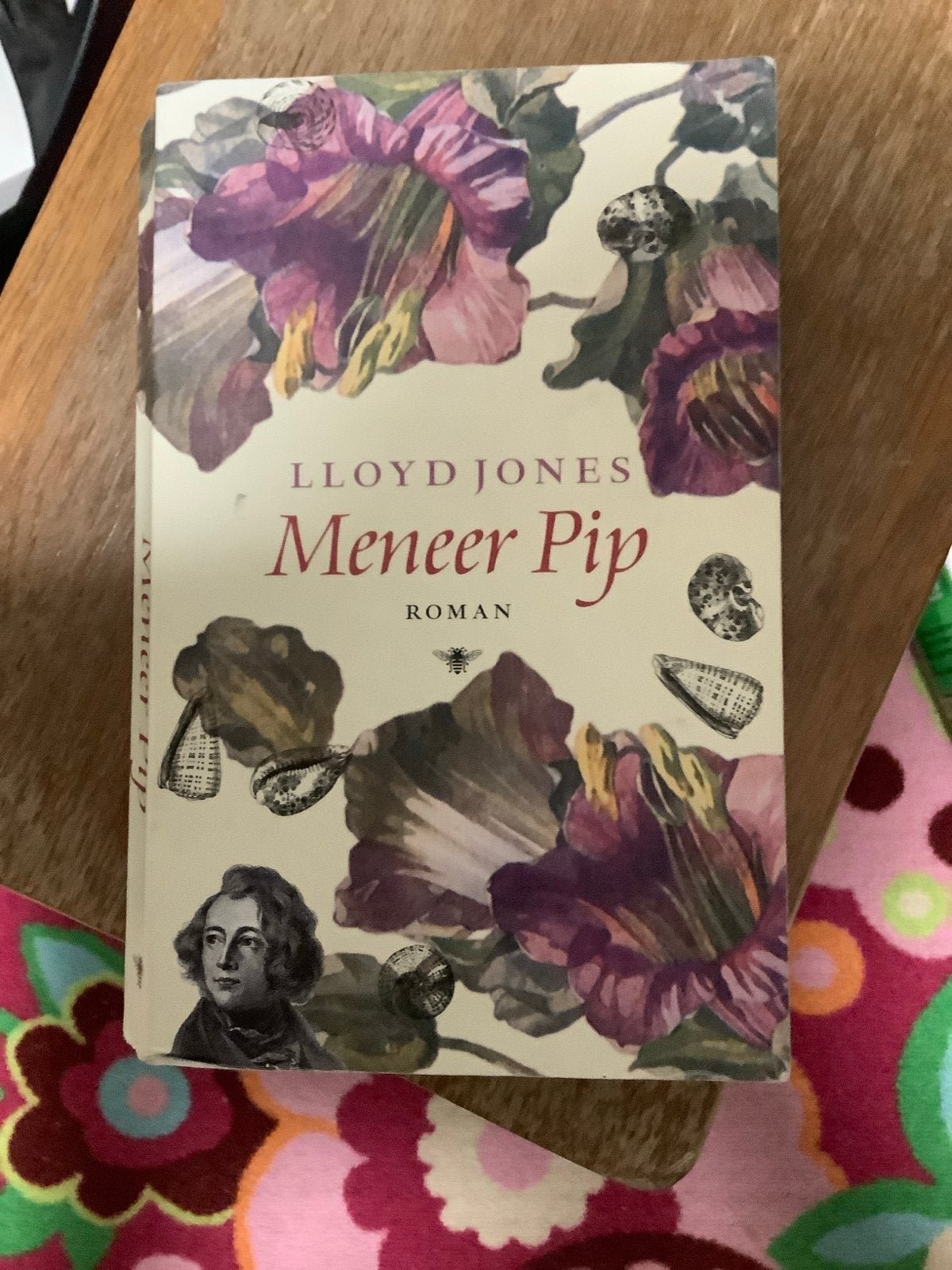 Meneer Pip - Lloyd Jones (Roman), Ophalen of Verzenden, Gelezen, Wereld overig