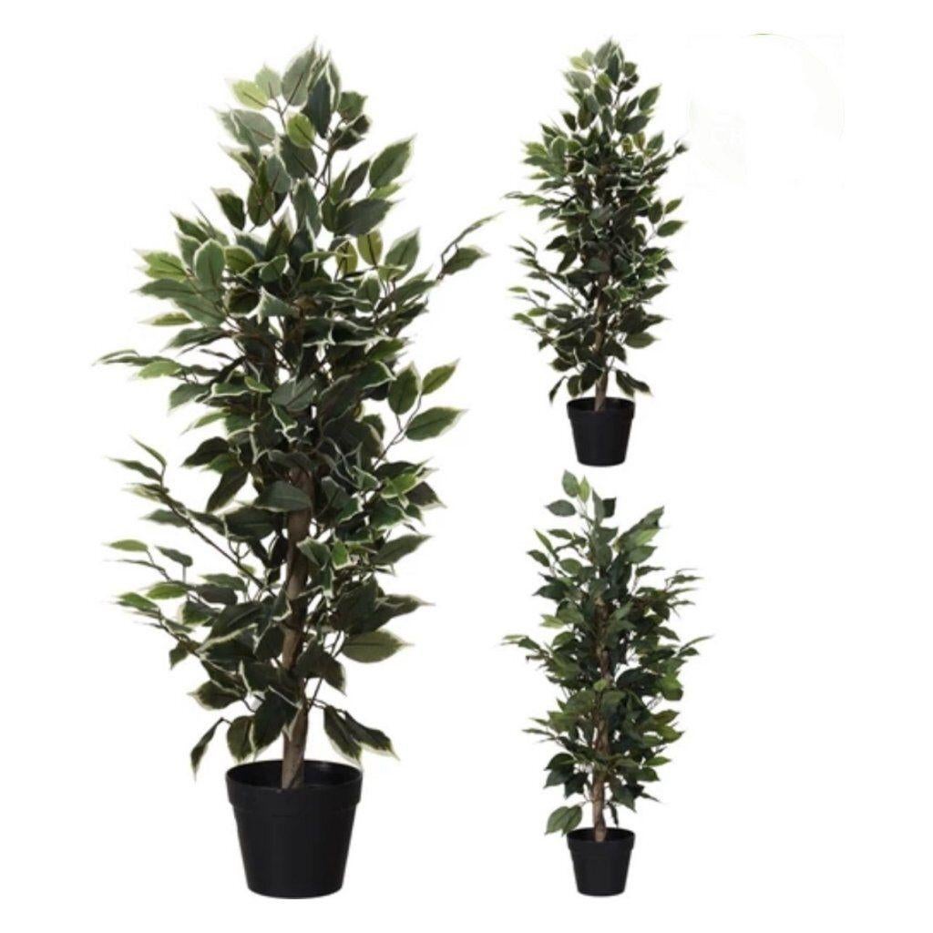 Kunstplant Ficus 95 cm Groen/Wit, Ophalen, Binnen, Nieuw, Home & Styling