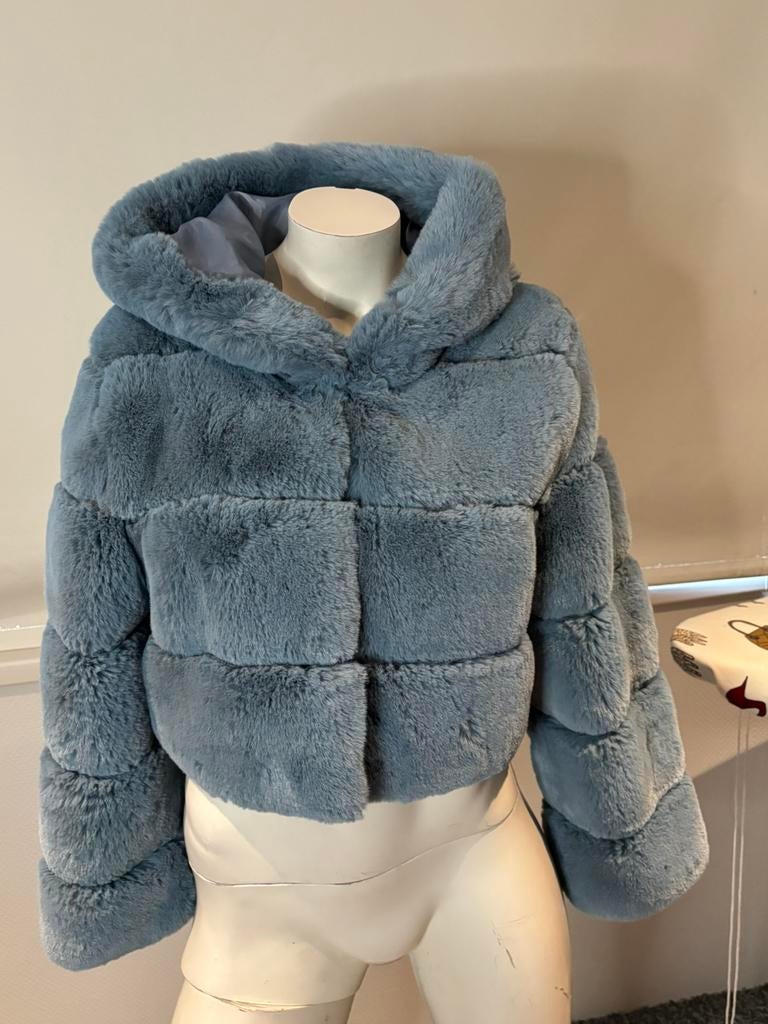 Fashion Nova korte teddy jas maat s nieuw, Kleding | Dames, Blauw, ., Nieuw, Ophalen of Verzenden