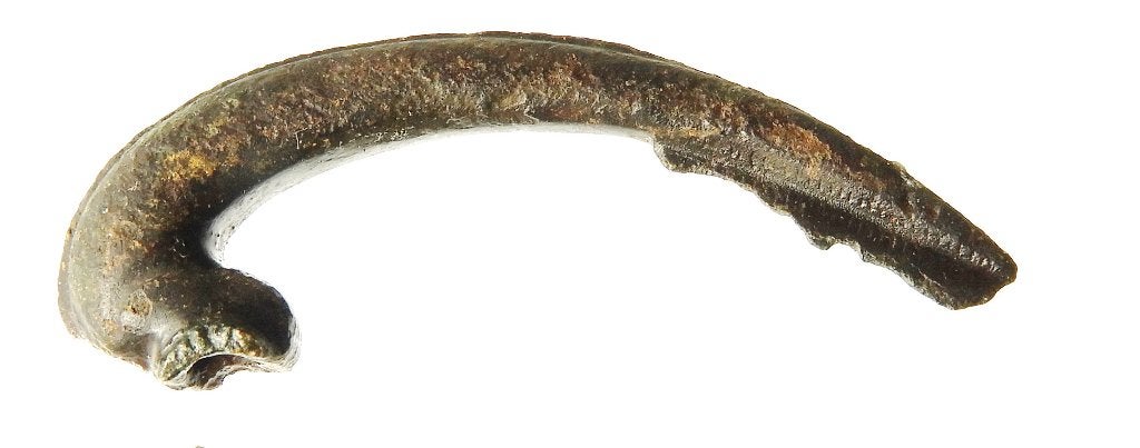 Fibula Dolphin-types Colchester 50,4 x 10,7mm      a714, Ophalen of Verzenden