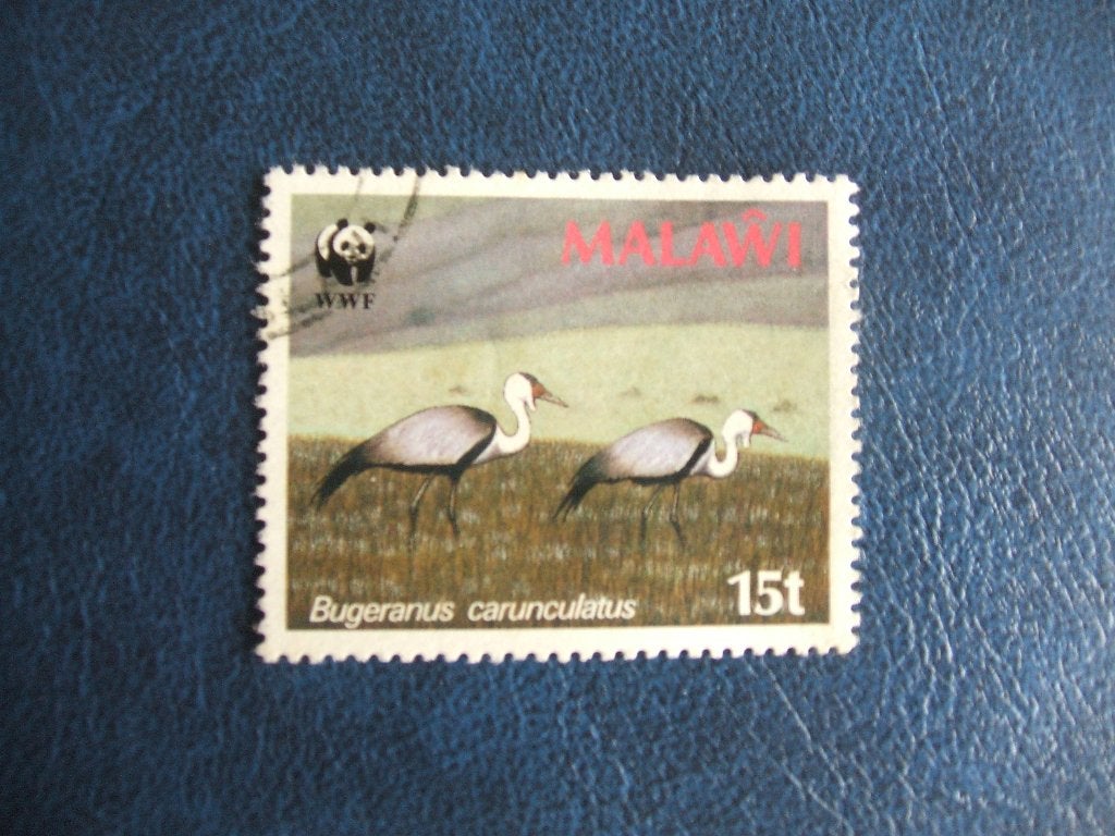 Malawi vogels, Ophalen of Verzenden, Overige landen, Gestempeld