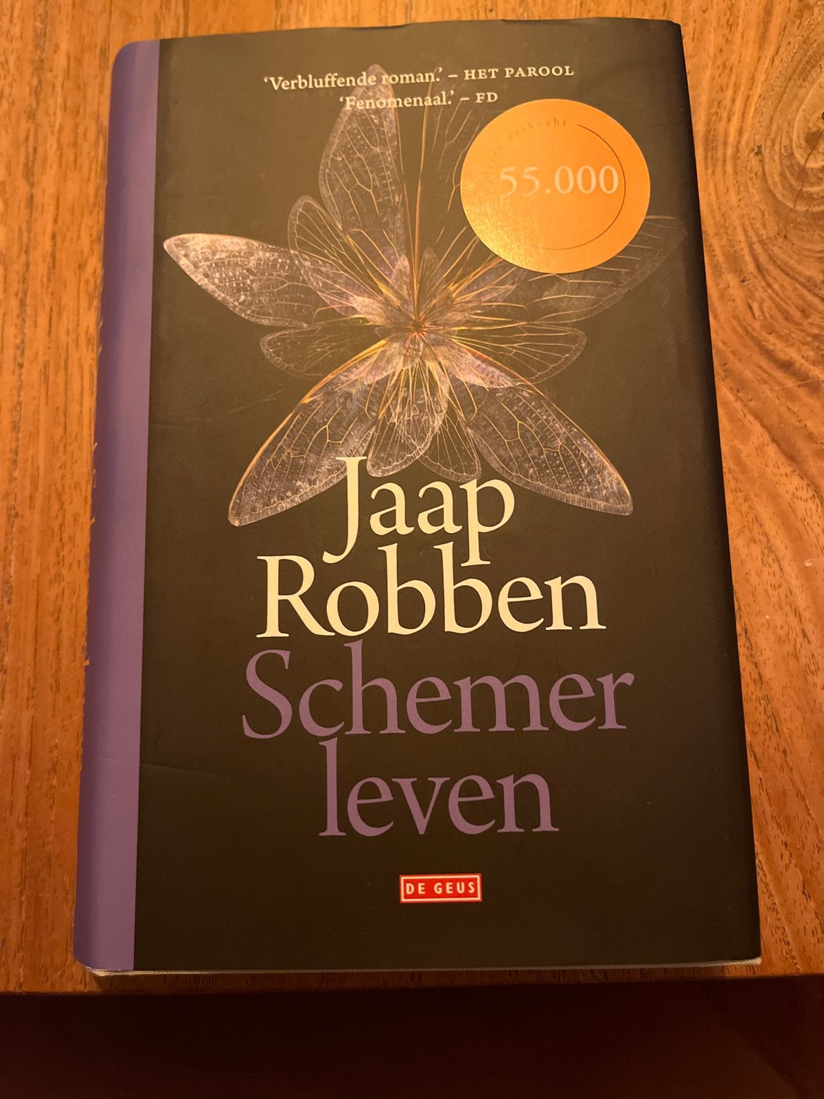 Jaap Robben - Schemerleven (Roman), Ophalen of Verzenden, Zo goed als nieuw, Nederland