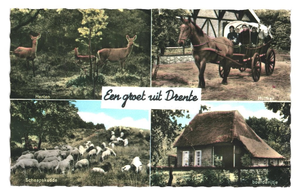 939820 Drente Drenthe 1966 Gelopen met postzegel S