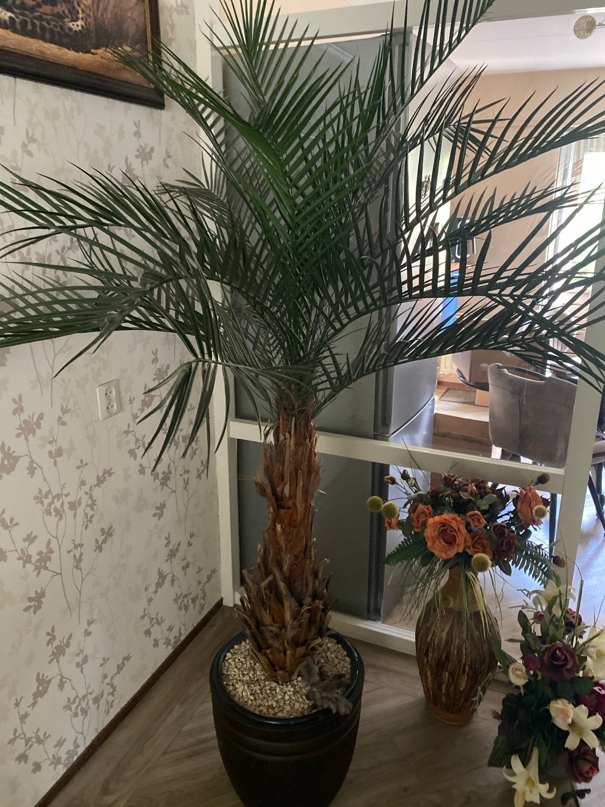 Grote palmboom in pot - Ideaal voor woonkamer, Palm, In pot, 150 tot 200 cm, Groene kamerplant