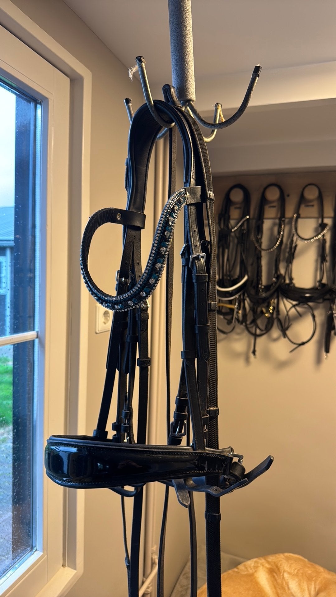 Stang & trens hoofdstel te koop, Ophalen of Verzenden, Zwart, Full, Hoofdstel