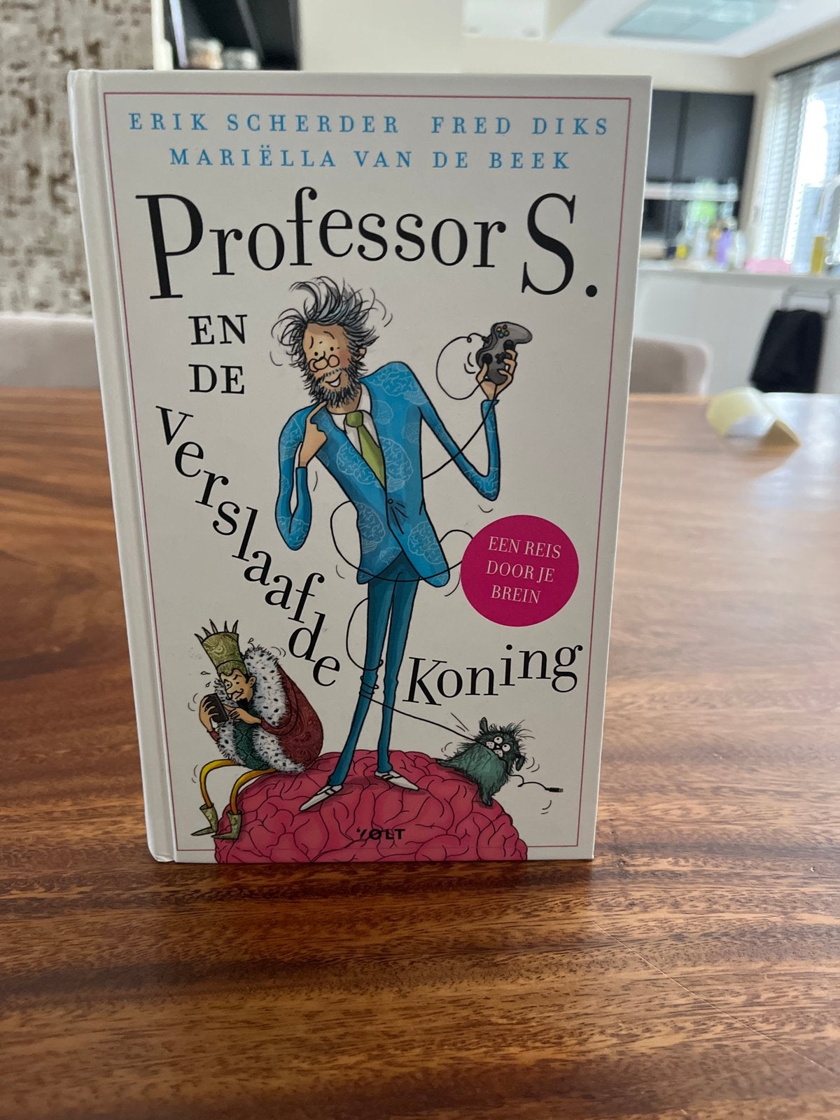 Professor S. en de Verslaafde Koning - Erik Scherder, Ophalen of Verzenden, Zo goed als nieuw, Non-fictie