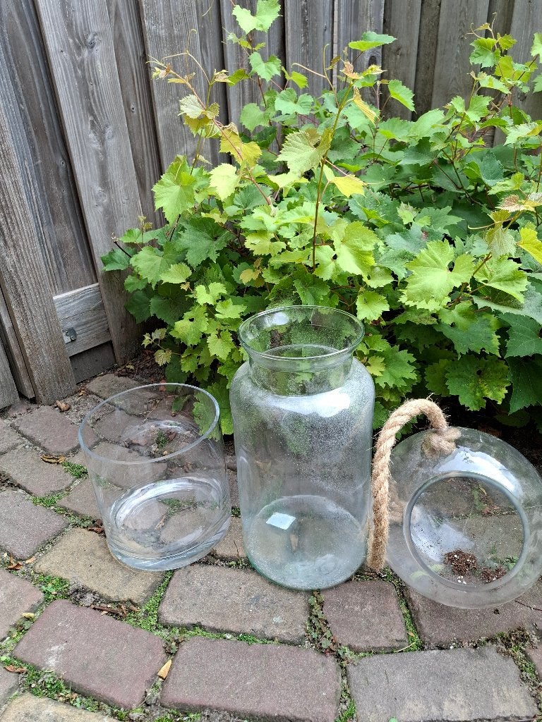 Mooie glazen vazen, Ophalen, Zo goed als nieuw, Transparant, Glas