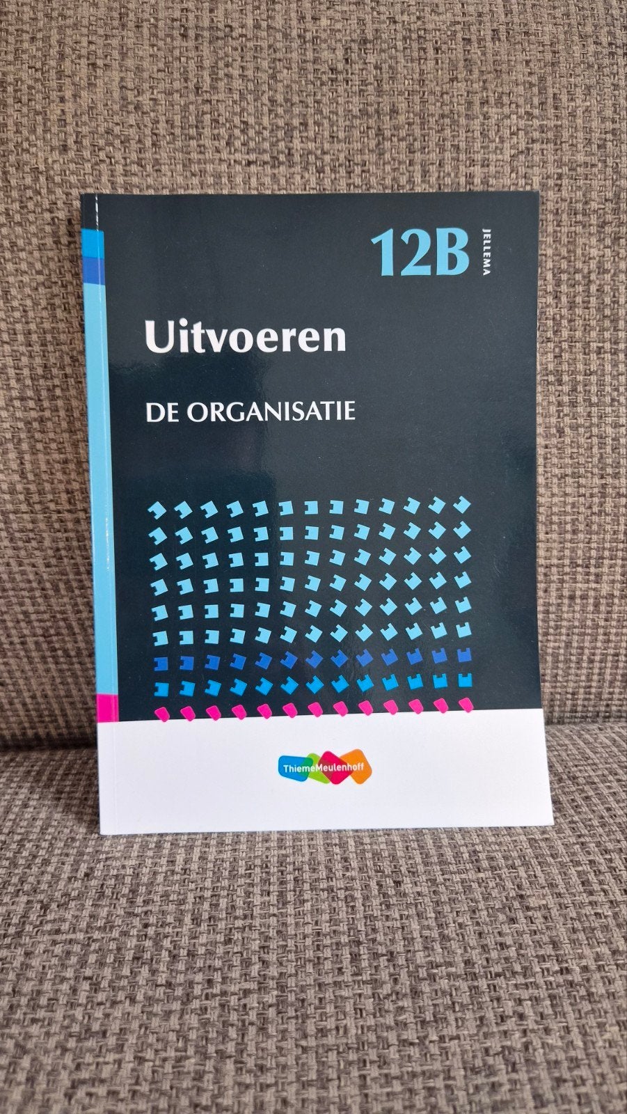 Jellema Hogere Bouwkunde 12B Uitvoeren De Organisatie, Boeken, Jellema, Zo goed als nieuw, Beta, HBO