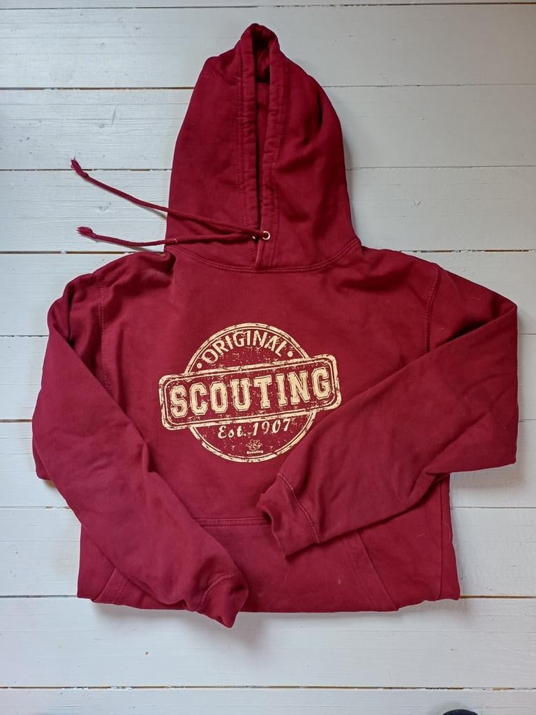 Scouting hoodie voor jonge avonturiers (tot maat 1.64), Ophalen of Verzenden, Zo goed als nieuw, Scouting, Jongen of Meisje