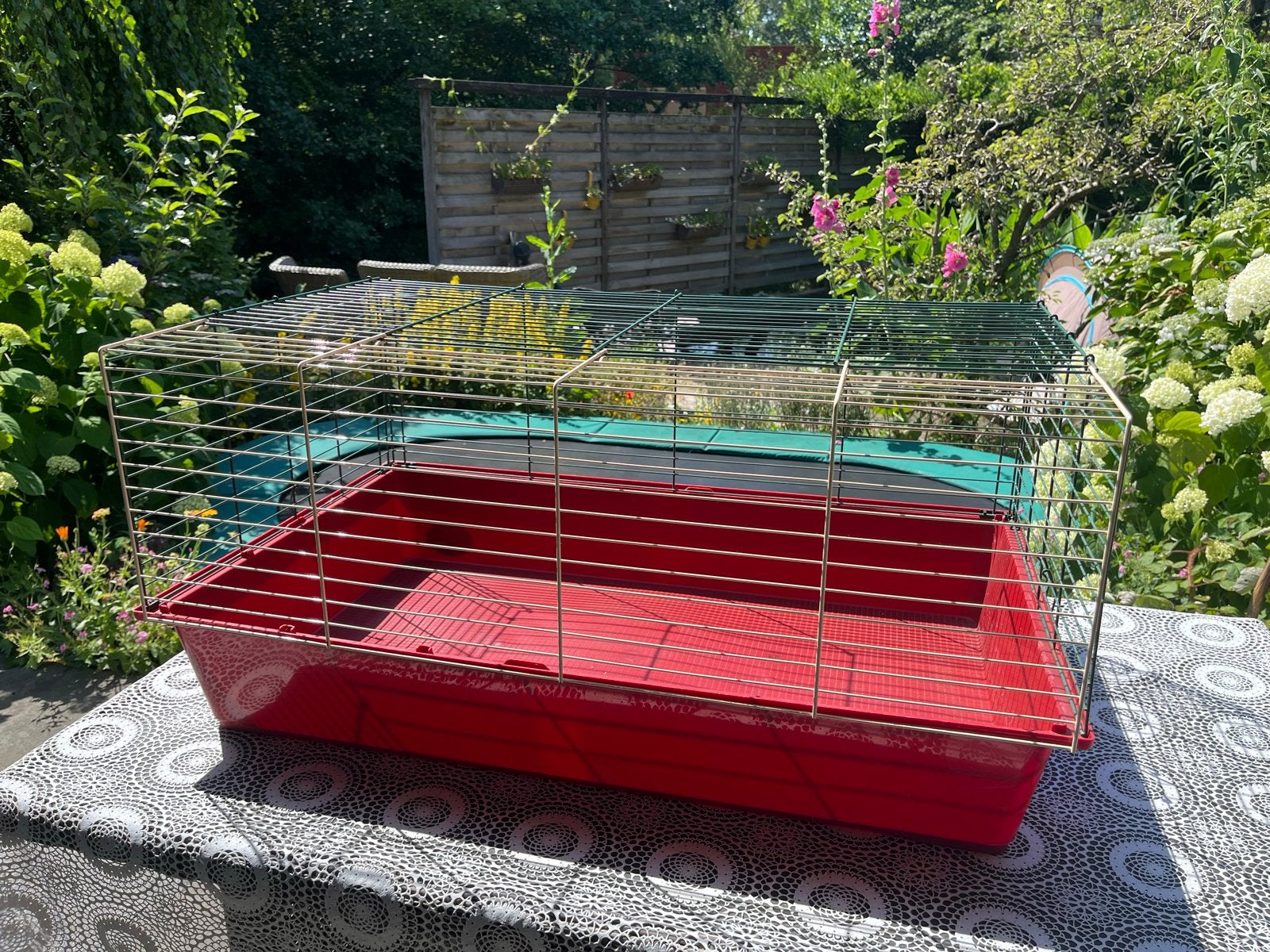 Konijnen of cavia hok, Ophalen, Hok, Konijn, Minder dan 60 cm