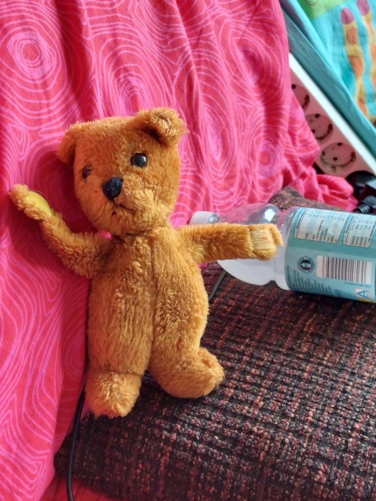 Bruine teddybeer, Ophalen of Verzenden