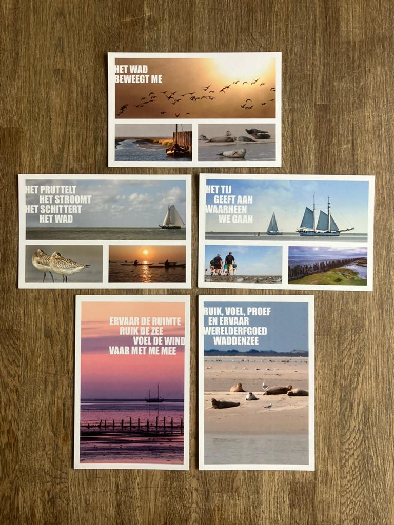 Ansichtkaarten waddenzee, Ophalen of Verzenden, 1980 tot heden
