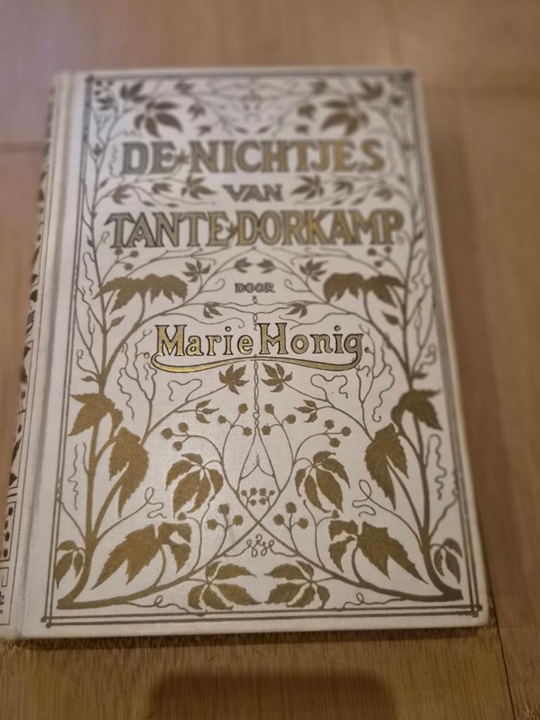 Antiek meisjesboek: De nichtjes van Tante Dorkamp, Ophalen of Verzenden, Marie Honig