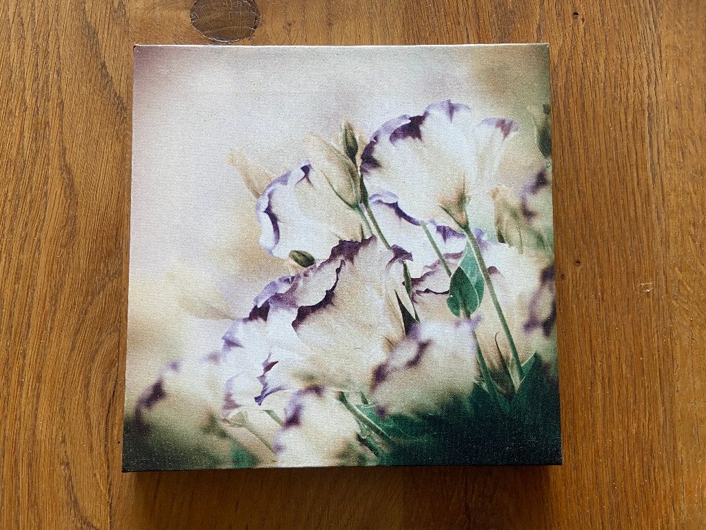 Klein schilderij op kanvas 18x18 cm, Ophalen of Verzenden, Zo goed als nieuw, Minder dan 50 cm, Schilderij