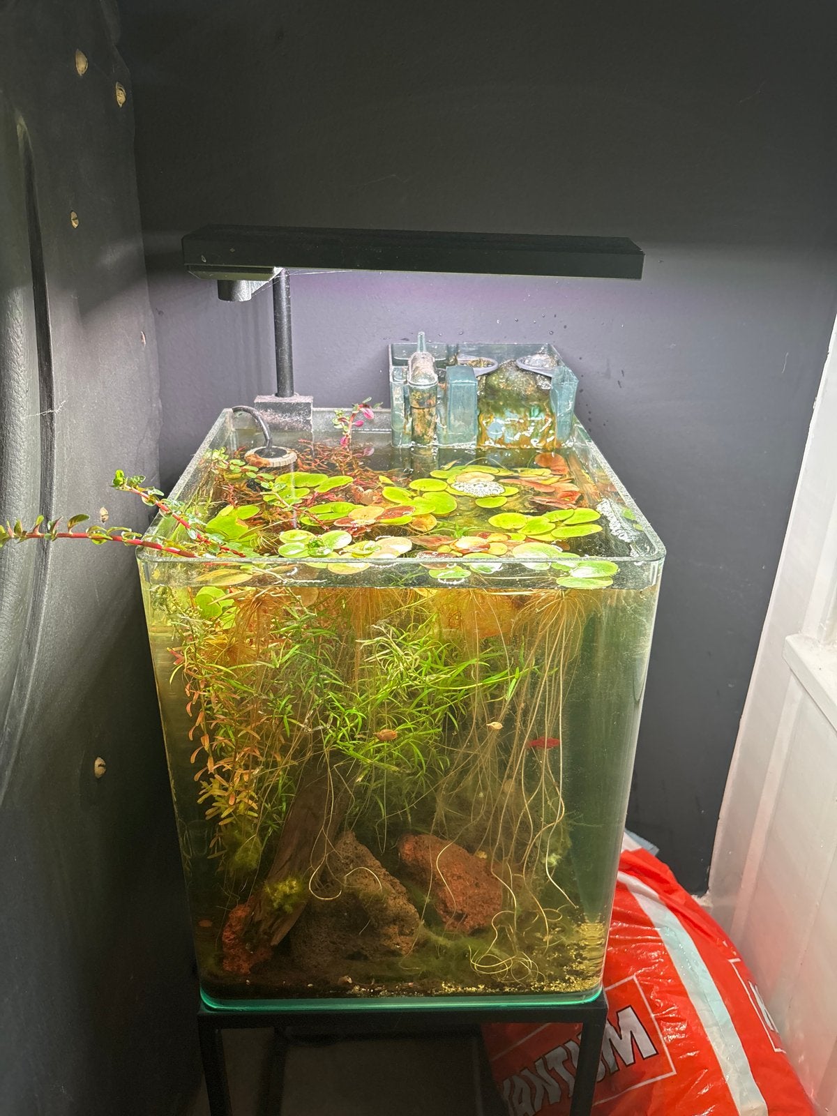 Aquascape bundel dennerle chihiros, Ophalen of Verzenden, Zo goed als nieuw, Gevuld zoetwateraquarium