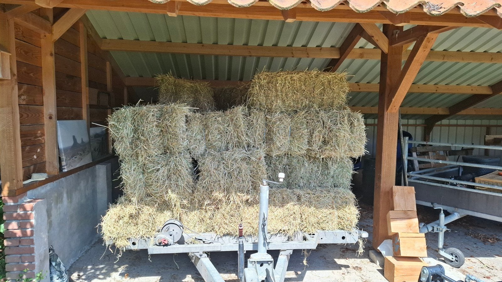 Hooi, Meerdere dieren, Schaap