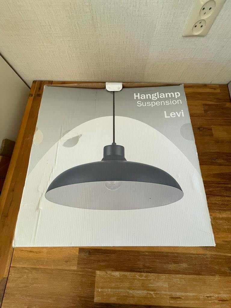 Hanglamp Levi, Ophalen, Nieuw, Minder dan 50 cm
