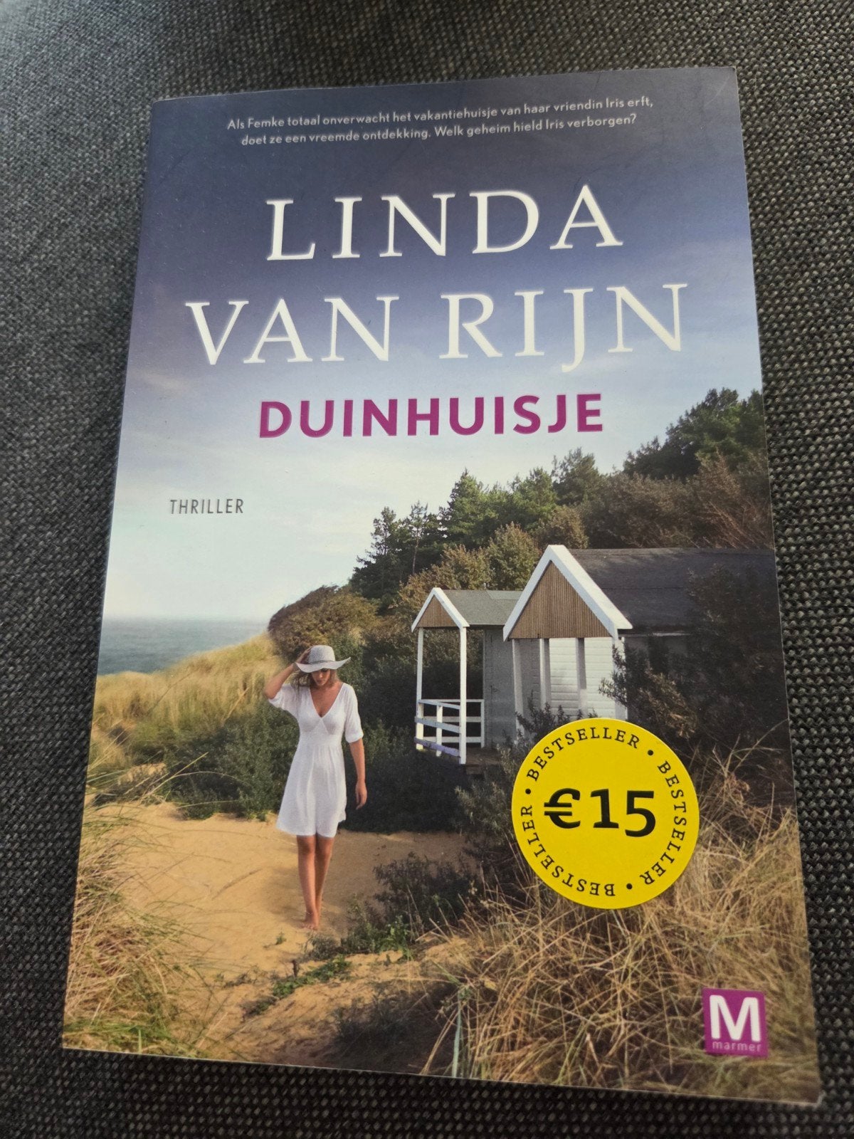Linda van Rijn - Duinhuisje, Ophalen of Verzenden, Zo goed als nieuw, Linda van Rijn