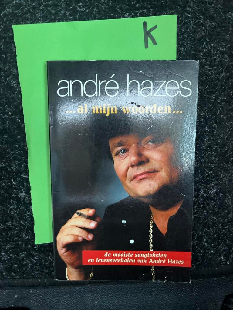 André Hazes: ...al mijn woorden... songteksten en verhalen, Ophalen of Verzenden, Zo goed als nieuw