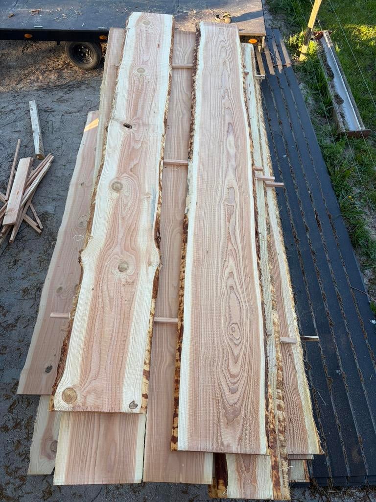 Douglas schaaldelen, Doe-het-zelf en Verbouw, Hout en Planken, Ophalen, 25 tot 50 mm, Nieuw, Plank