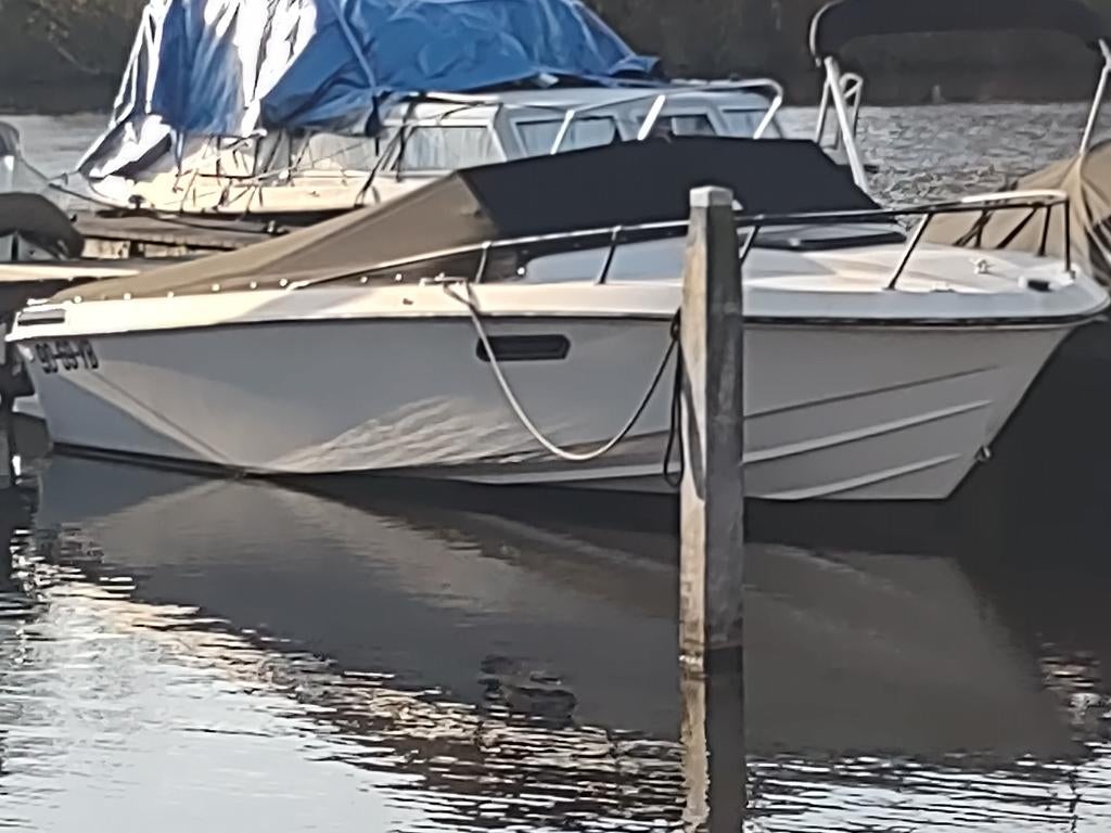 WellCraft Nova 210XL Retro Speedboot V8, Ophalen, Overige merken, Gebruikt, Binnenboordmotor
