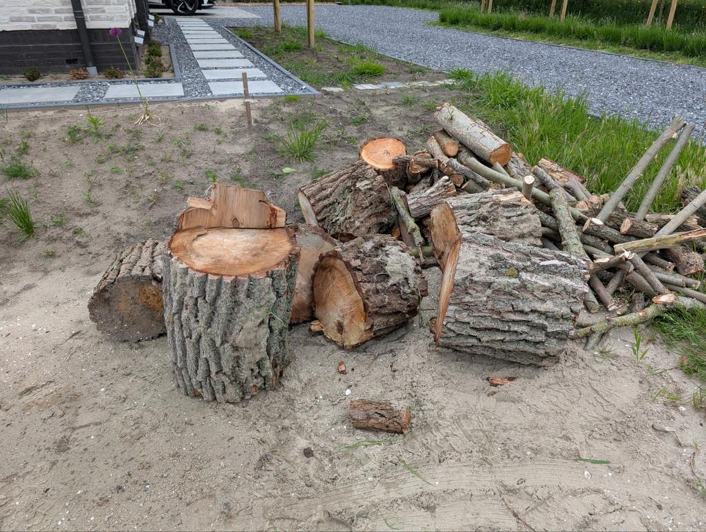 Kachelhout / haardhout wilgen, Tuin en Terras, Haardhout, 6 m³ of meer, Ophalen, Overige houtsoorten, Stammen