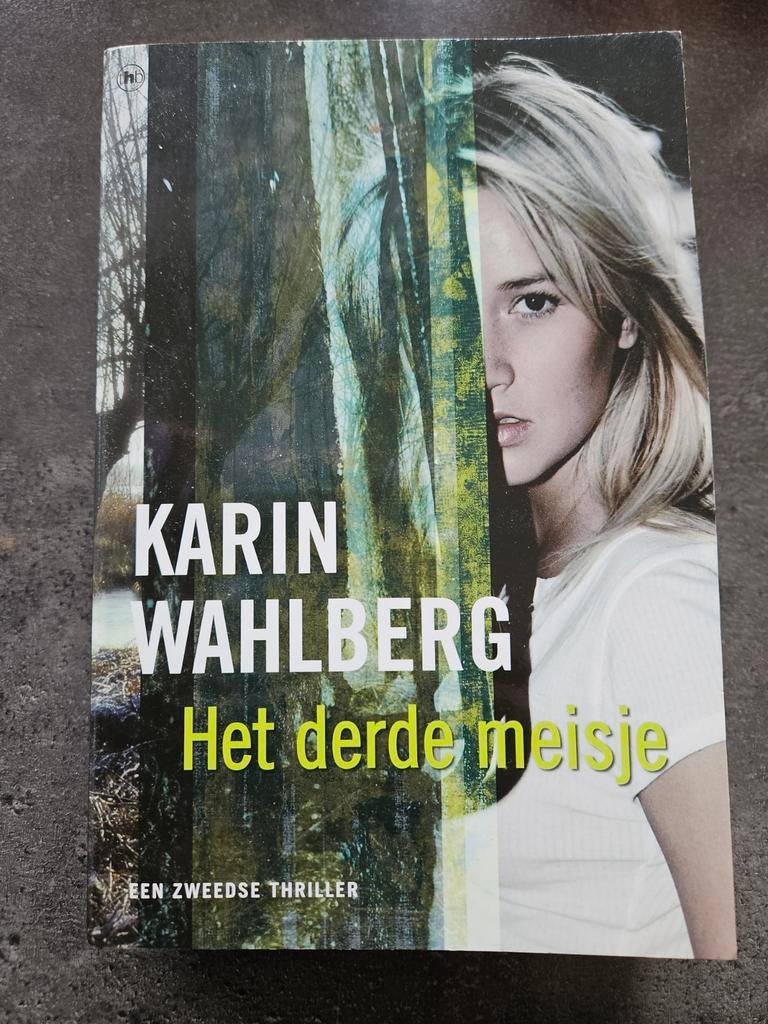 Karin Wahlberg - Het derde meisje (Zweedse thriller), Ophalen of Verzenden, Gelezen, Karin Wahlberg, Scandinavië