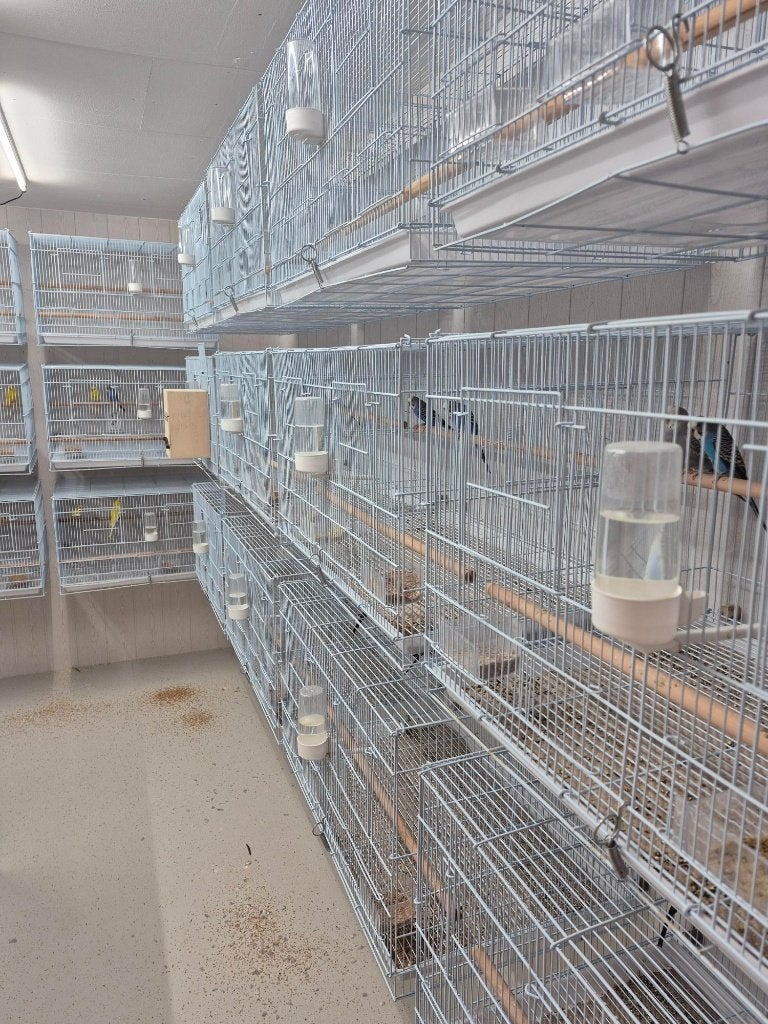 grote draadkooien evt ruilen, Dieren en Toebehoren, Ophalen, Zo goed als nieuw, Metaal, Broedkooi of Kweekkooi