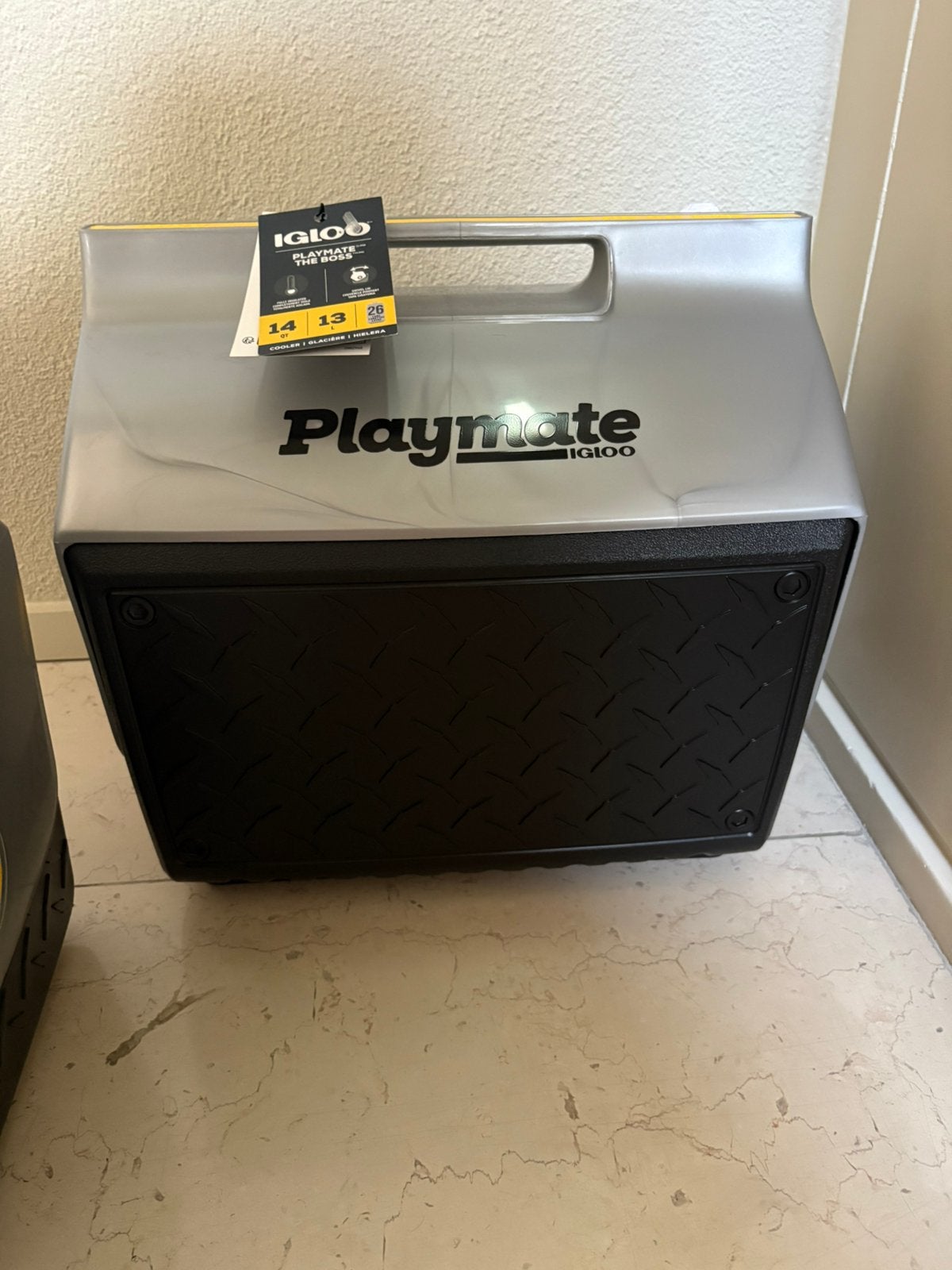 Nieuwe koelbox igloo Playmate, Ophalen of Verzenden, Nieuw