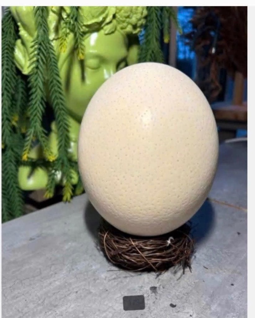 Struisvogel ei 14,5 cm in bruin mandje - decoratief, Ophalen of Verzenden