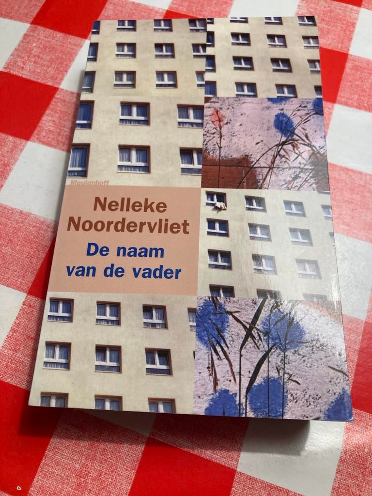 De naam van de vader - Nelleke Noordervliet, Ophalen of Verzenden, Zo goed als nieuw, Nederland