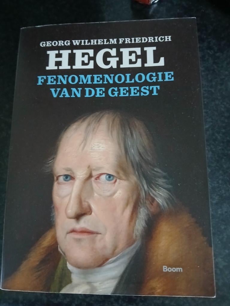 Fenomenologie van de geest door Georg Wilhelm Friedrich., Boeken, Ophalen, Georg Wilhelm Friedrich