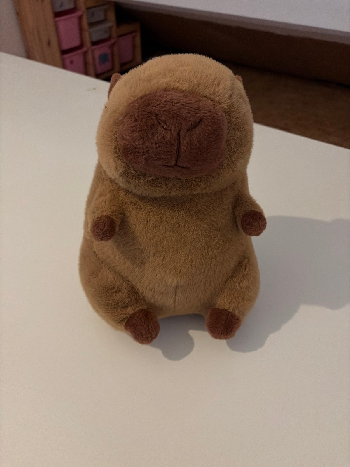 Schattige Capibara Knuffel - 30 cm, Overige typen, Nieuw, Ophalen of Verzenden, Middelgroot (20 tot 80 cm)