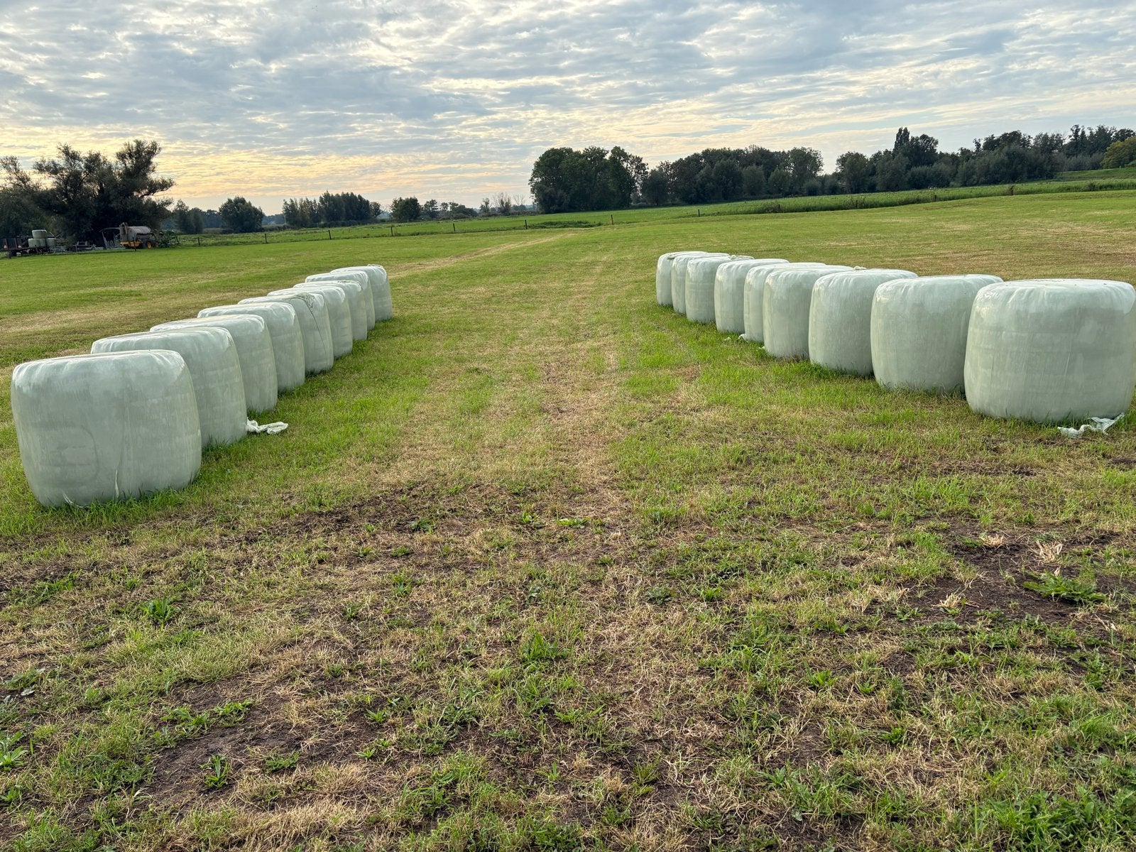 Grote ronde balen hooi - 18 stuks, Ophalen