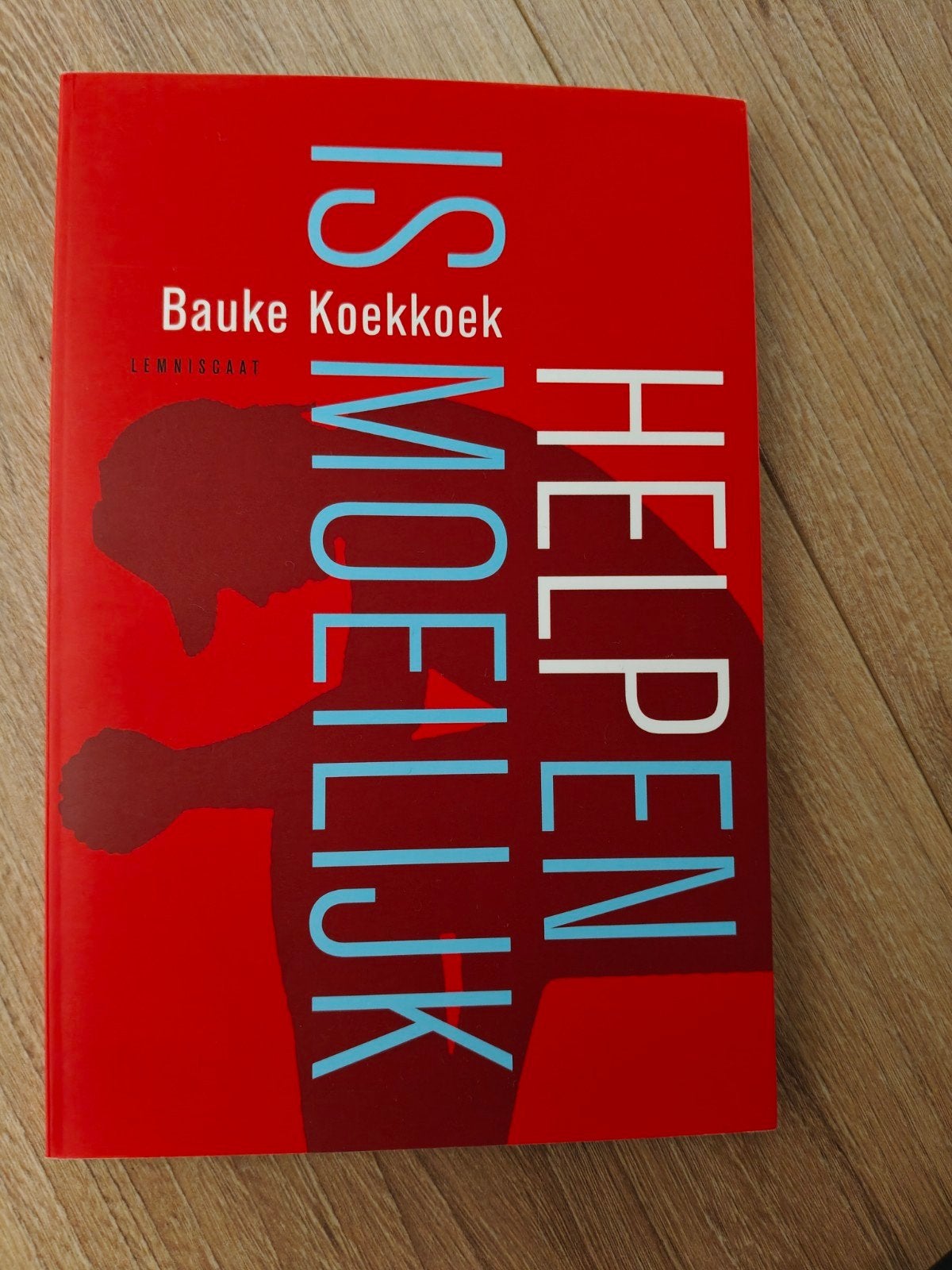 Helpen is Moeilijk - Bauke Koekkoek, Boeken, Ophalen of Verzenden, Zo goed als nieuw, Bauke Koekkoek