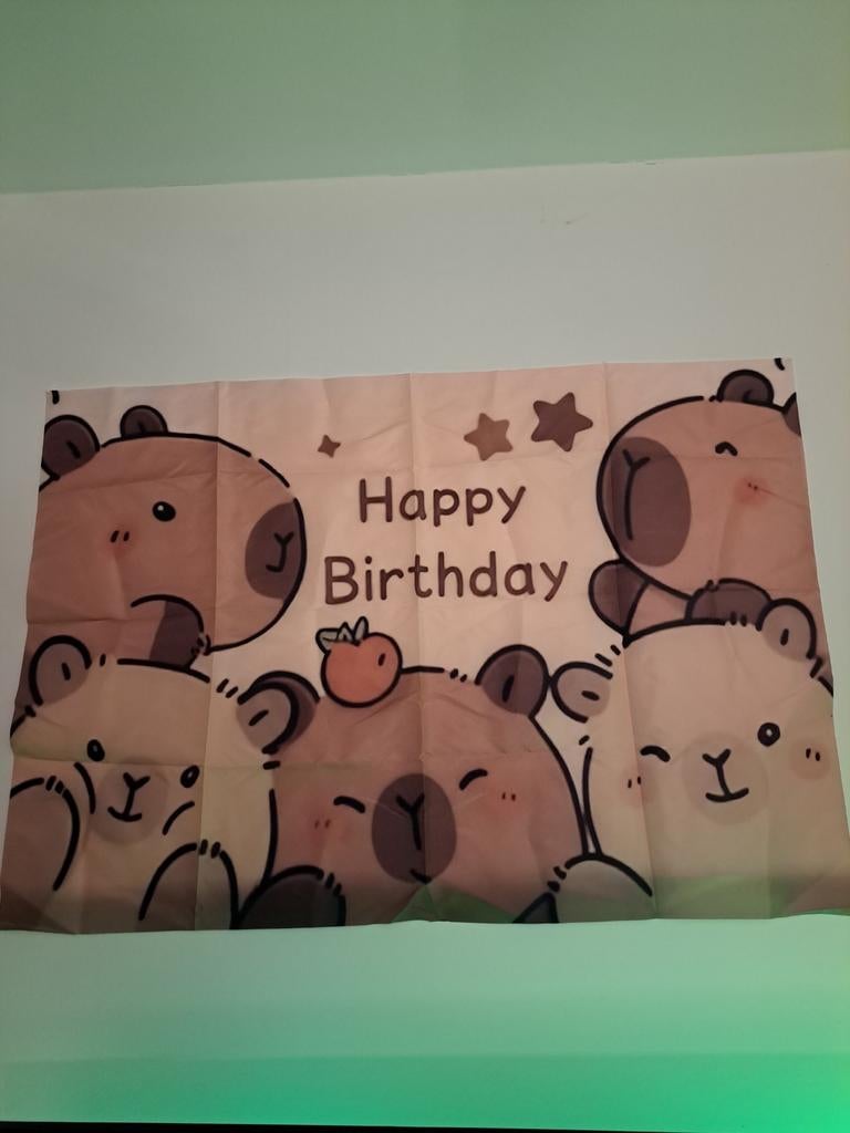 Capibara verjaardag, Ophalen, Versiering, Verjaardag