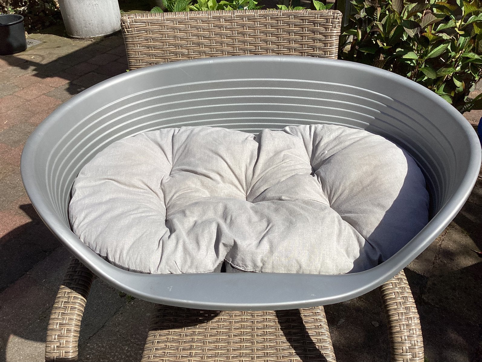 Kunststof hondenmand,  buitenmaat L 70 - B 55 - H 24/29 cm., Dieren en Toebehoren, Ophalen, Gebruikt, Overige