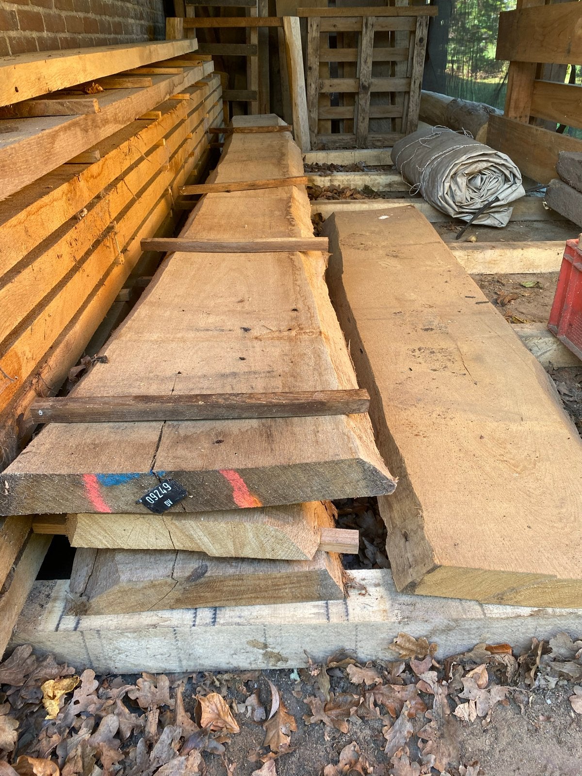 Eiken planken schaaldelen 5 cm/30 cm wind gedroogd onbekant, Eiken, Nieuw, Ophalen of Verzenden, Plank