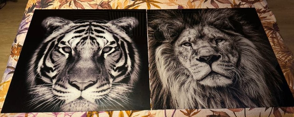 Set van 2: Tijger en Leeuw glasplaat, Huis en Inrichting, Woonaccessoires | Schilderijen, Tekeningen en Foto's, Ophalen, 75 tot 100 cm
