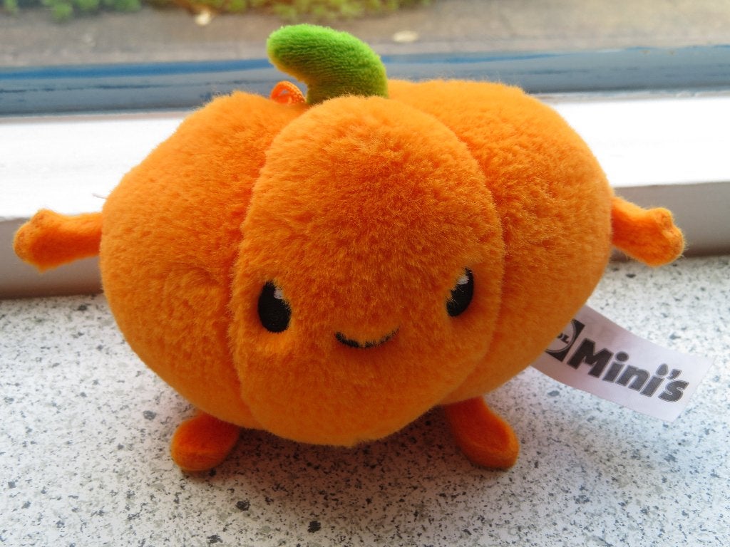 Pien Pompoen van Lidl Mini's zacht oranje velour, Lidl, Oranje, Overige typen, Ophalen of Verzenden
