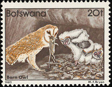 BORSWANA 55 - Dieren: vogels (kerkuil), Ophalen of Verzenden, Postfris, Dier of Natuur