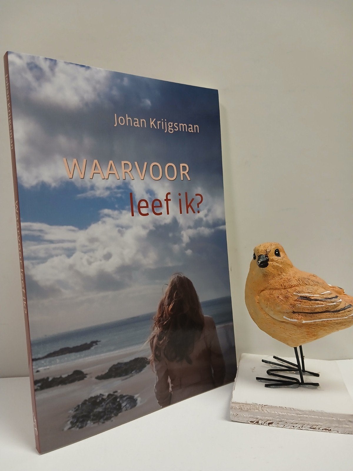 Krijgsman, Johan; Waarvoor leef ik?, Ophalen of Verzenden, Gelezen, Christendom | Protestants